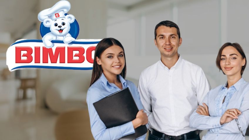 ¿Buscas chamba? BIMBO abre vacantes DESDE CASA, con prestaciones superiores a la ley y descuentos exclusivos