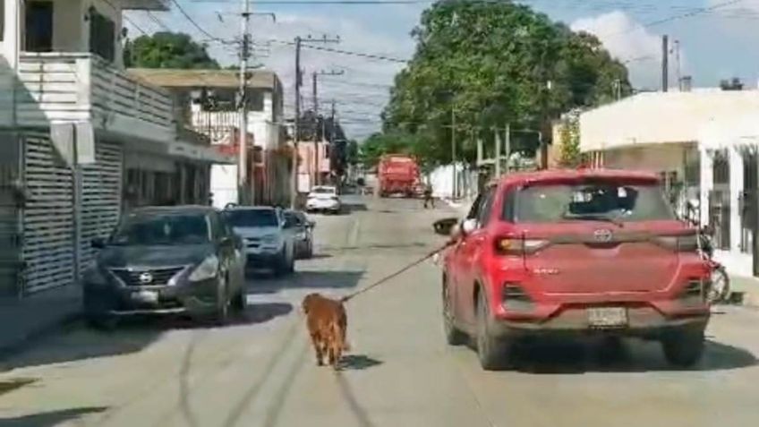 Multan al dueño de un perrito que era arrastrado por un vehículo automotor en Tampico