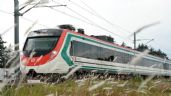 Foto ilustrativa de la nota titulada: Cuándo abrirá la estación observatorio del Tren El Insurgente; esto es lo que sabemos