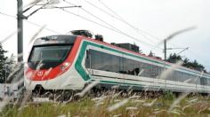 Cuándo abrirá la estación observatorio del Tren El Insurgente; esto es lo que sabemos