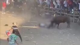 Foto que representa a Toro mata a cornadas a un hombre ante una horrorizada multitud: IMÁGENES FUERTES