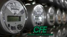 CFE es líder en el sector