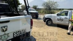 Leona mata a un hombre en un zoológico de Altamira, Tamaulipas