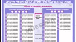 Foto que representa a Boletas para la elección, de dos tamaños