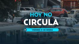 Foto que representa a Hoy No Circula: ¿qué autos descansan este VIERNES 31 de enero de 2025 en CDMX y Edomex?