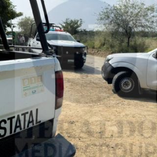 Leona mata a un hombre en un zoológico de Altamira, Tamaulipas