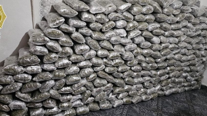 Investigan doble homicidio y aseguran 500 kilos de marihuana en cateo a un inmueble en Cuajimalpa