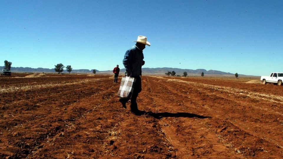 Las actividades primarias fueron las más afectadas