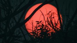 Foto que representa a Esta es la mejor hora para ver el eclipse lunar en México | Recomendaciones de la NASA para apreciar la luna de sangre