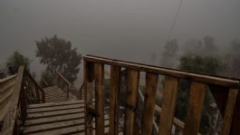 Foto que representa a Frente Frío 25 provoca lluvias fuertes y bancos de niebla | estados en ALERTA sábado 1 febrero