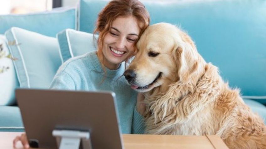 Veterinarios lanzan aviso sobre una nueva tendencia entre las personas más jóvenes con las mascotas