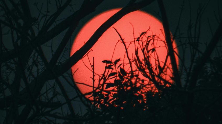 Esta es la mejor hora para ver el eclipse lunar en México | Recomendaciones de la NASA para apreciar la luna de sangre