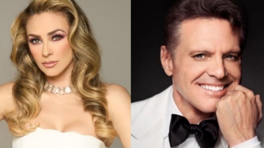 Reviven audio del hijo de Luis Miguel y Aracely Arámbula cantando, su talento impresiona a cibernautas