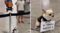 Perrito enternece las redes por recibir a su "amigo" en el aeropuerto con globo de Paw Patrol | VIDEO