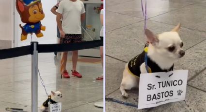 Perrito enternece las redes por recibir a su "amigo" en el aeropuerto con globo de Paw Patrol | VIDEO