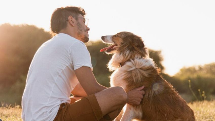 Estos son los motivos por el que cambiamos el tono de voz al hablar con nuestros perros, según la ciencia