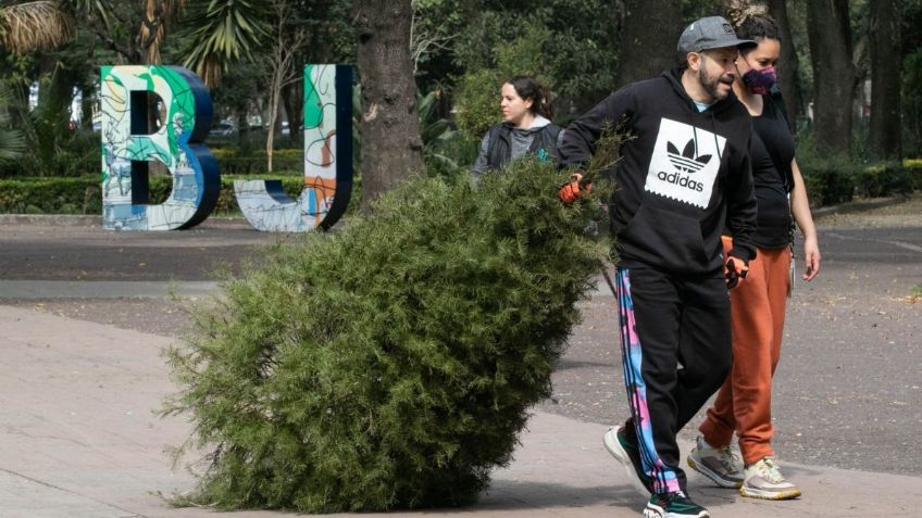 Estos son todos los centros de Acopio de Árboles de Navidad en Edomex y CDMX