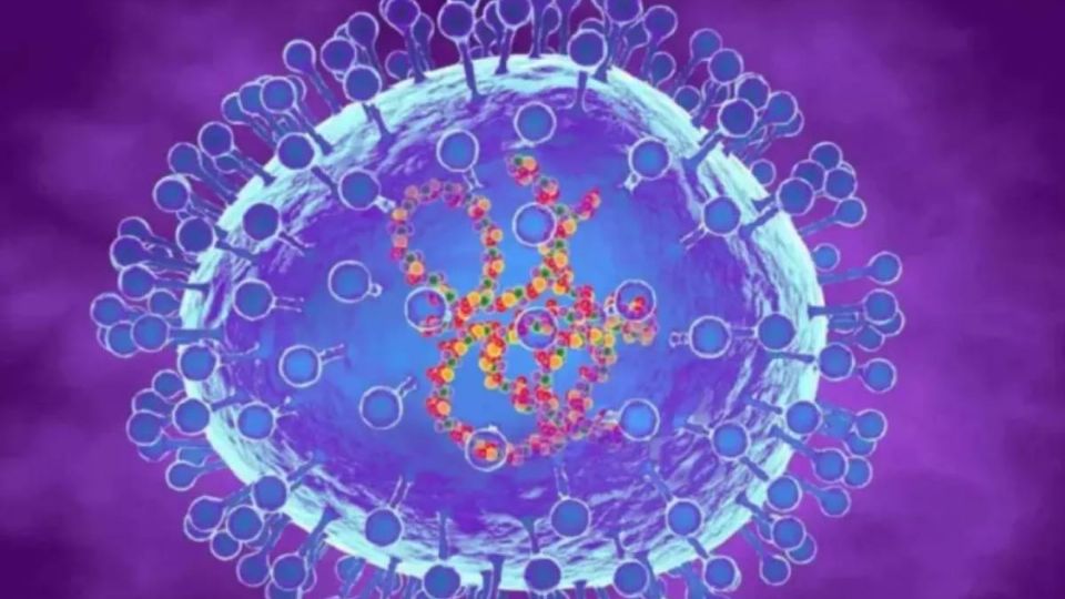 Metapneumovirus Humano