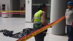 Indagan muerte de una estudiante de 22 años que cayó desde el doceavo piso de su universidad