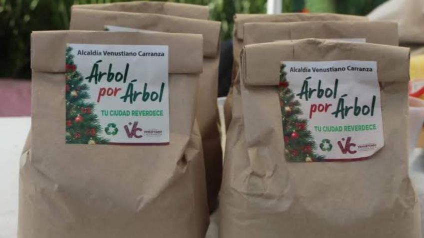 Inicia programa Árbol por Árbol en la alcaldía Venustiano Carranza, de la CDMX