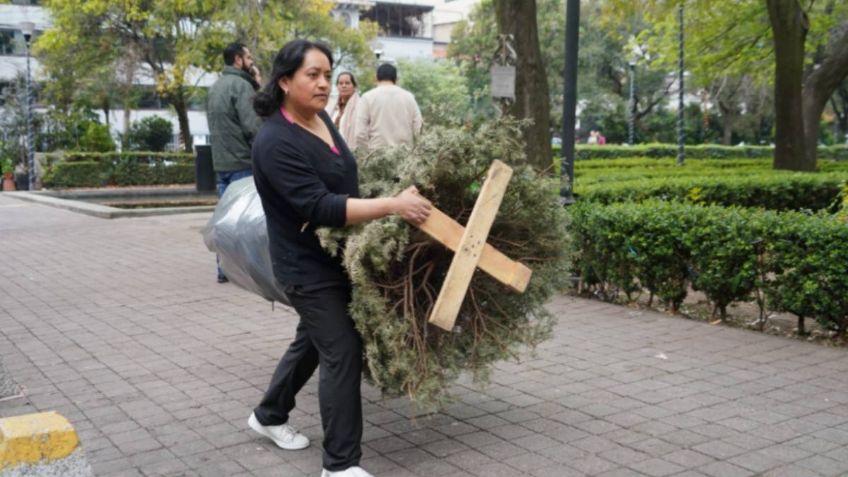 ¡No los tires! Llévalos a los centros de reciclaje de árboles de Navidad en Miguel Hidalgo | ubicación exacta