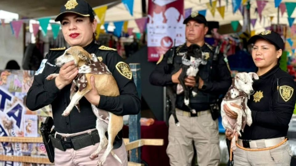 Estas fueron las acciones de la Brigada de Vigilancia Animal en 2024