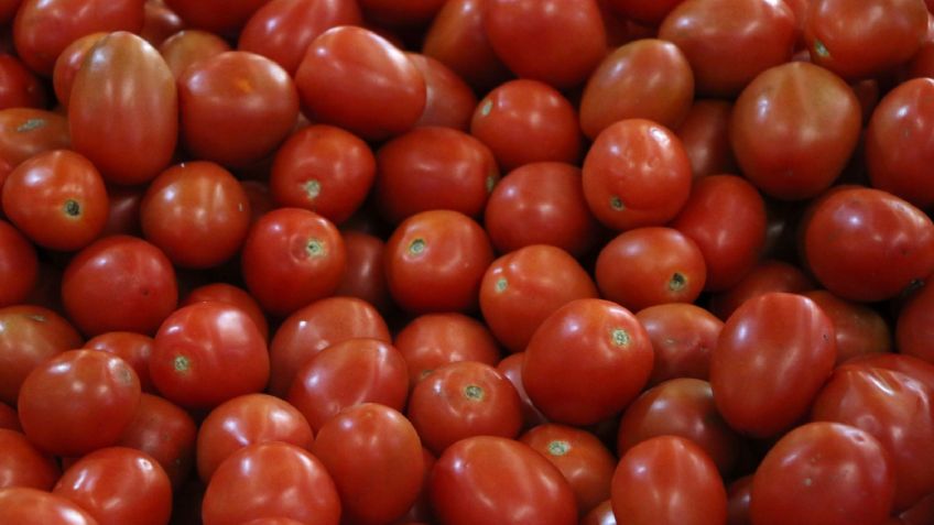 ¿Jitomate o tomate? Este es el nombre del popular fruto mexicano