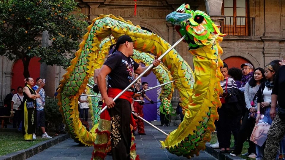 Este 2025 es el año de la serpiente de madera.