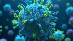 Detectan 153 casos de metapneumovirus en Sinaloa