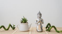 Plantas que dan estabilidad y riqueza este 2025, según el Feng Shui