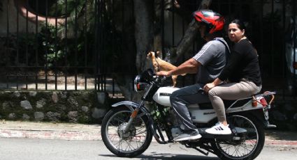 Este es el documento OBLIGATORIO que deberás tramitar si quieres conducir una motocicleta en EDOMEX