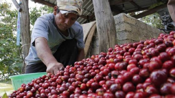 Iniciará gobierno de Nayarit créditos financieros para productores, se pretende no cobrar ningún peso por intereses