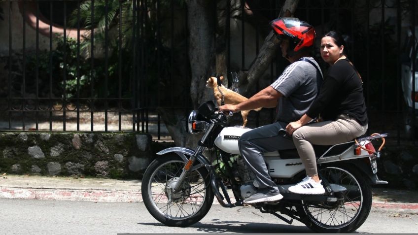 Este es el documento OBLIGATORIO que deberás tramitar si quieres conducir una motocicleta en EDOMEX