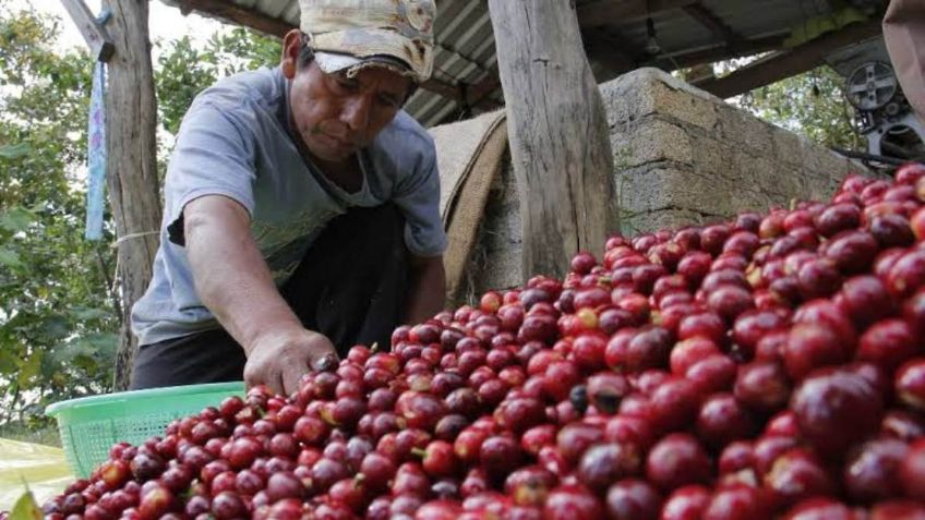 Iniciará gobierno de Nayarit créditos financieros para productores, se pretende no cobrar ningún peso por intereses