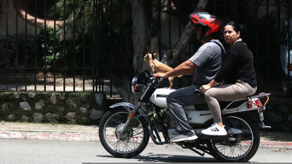 Se trata de un requisito para tener la licencia de conducir motocicletas.