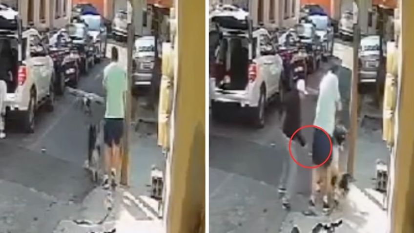 Hombre apuñala a un perro husky en calles de la Ciudad de México; el ataque quedó grabado en VIDEO