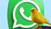 Foto ilustrativa de la nota titulada: WhatsApp lanza su modo canario: cómo activarlo