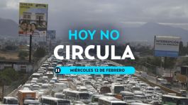 Foto que representa a Hoy No Circula: ¿qué autos descansan este MIÉRCOLES 12 de febrero en CDMX y Edomex?