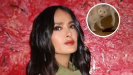 Foto que representa a Salma Hayek divide opiniones por video de su gatito devorando un pájaro dentro de su casa