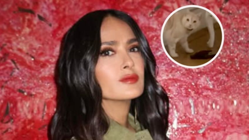 Salma Hayek divide opiniones por video de su gatito devorando un pájaro dentro de su casa