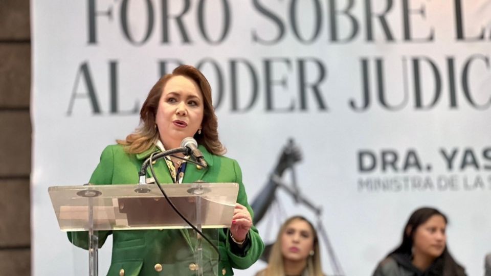 De aprobarse, este fallo representará un hito en materia de protección animal, al prohibir la segregación de la elefanta Ely y establecer criterios clave para su bienesta