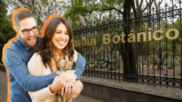 Foto que representa a Lánzate al picnic nocturno en el Bosque de Chapultepec y enamórate en San Valentín | Fecha y horario