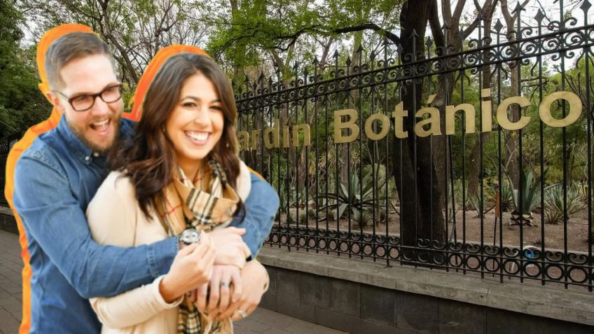 Lánzate al picnic nocturno en el Jardín Botánico del Bosque de Chapultepec y enamórate en San Valentín | Fecha y horario