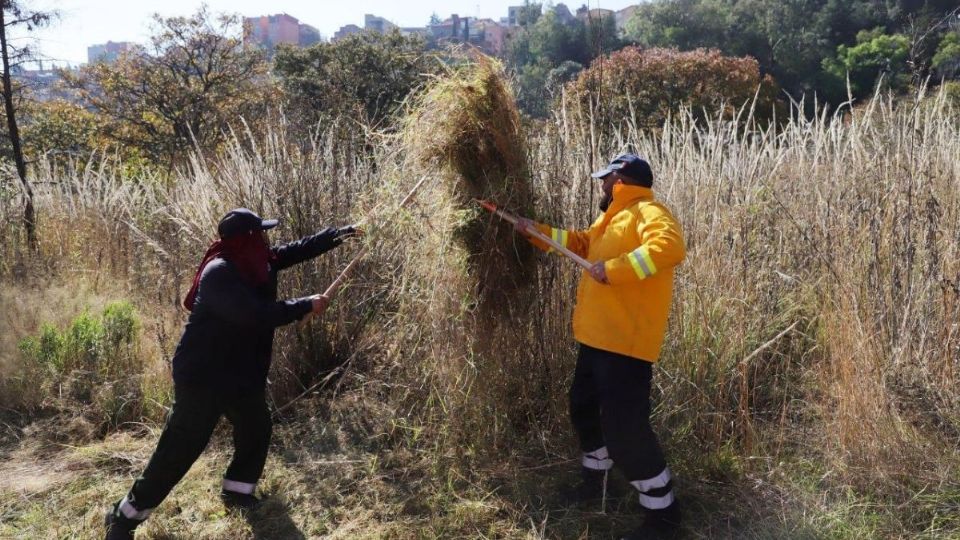 Prevención de incendios en Álvaro Obregón