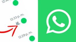 Foto que representa a WhatsApp: aprende a activar el punto verde en las conversaciones