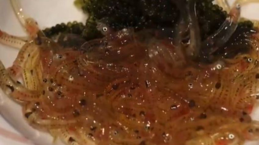 Platillo japonés horroriza las redes sociales por tener peces vivos en salsa de soja | VIDEO