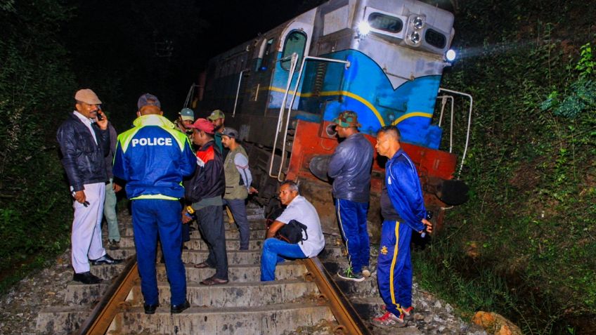 Tren arrolla a una familia de elefantes, mueren seis | FOTOS