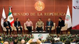 Foto que representa a Segob pide a senadores concretar reformas pendientes del Gobierno federal