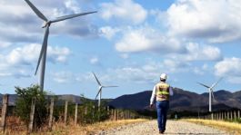 Foto que representa a Iberdrola México renueva su sello Top Employer por su excelencia en la gestión del talento