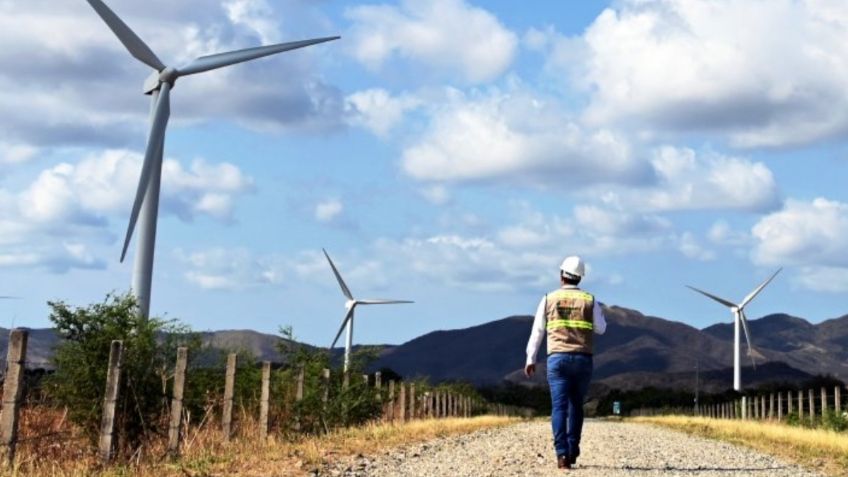 Iberdrola México renueva su sello Top Employer por su excelencia en la gestión del talento